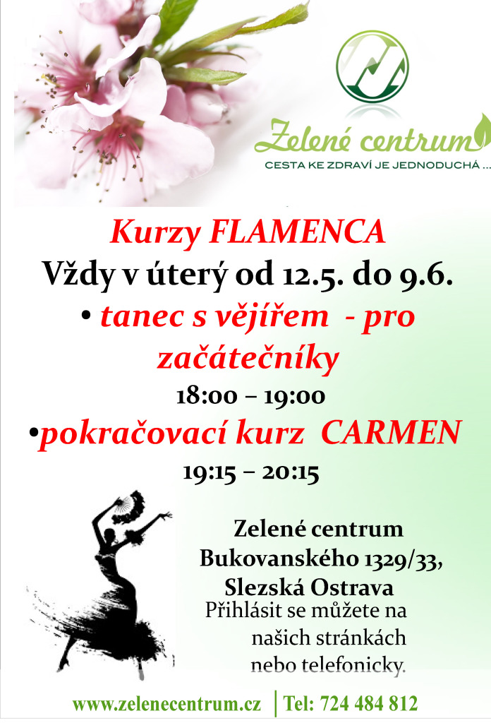 Kurzy flamenca ve Slezské Ostravě