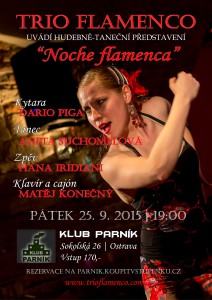 cartel Parnik 2015 maly